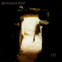 PINEAPPLE THIEF, THE / 137