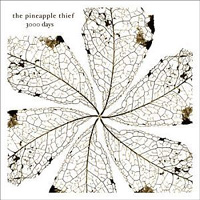 PINEAPPLE THIEF, THE / 3000 Days