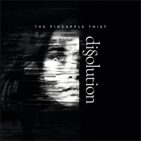 PINEAPPLE THIEF, THE / Dissolution