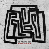 PINEAPPLE THIEF, THE / Versions Of The Truth